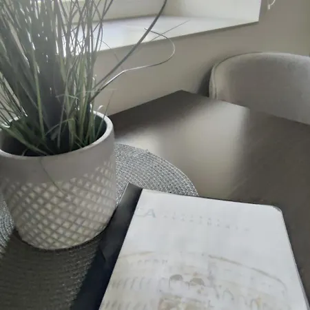 Central Apartments 普拉